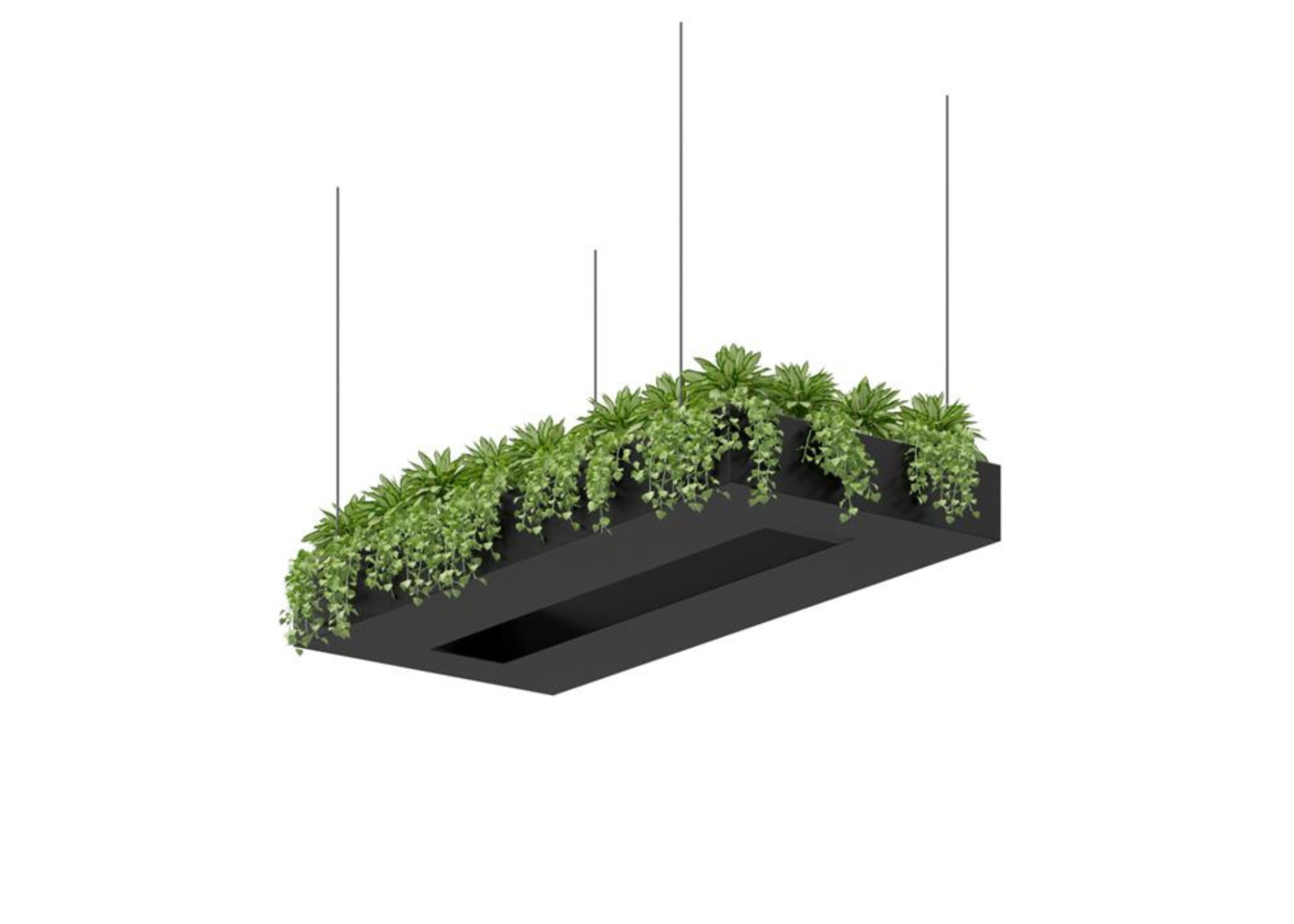 Ceiling Hanging Planter - DDK